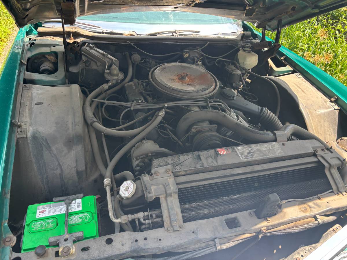 Cadillac-eldorado-convertible-1976-green-17