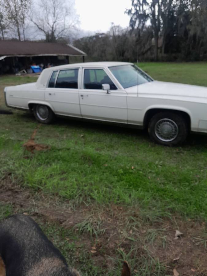 Cadillac-fleetwood-brougham-1984-white-8