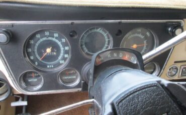 Chehvrolet-c20-1972-brown-13