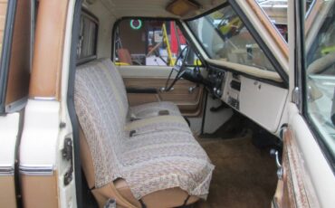 Chehvrolet-c20-1972-brown-4