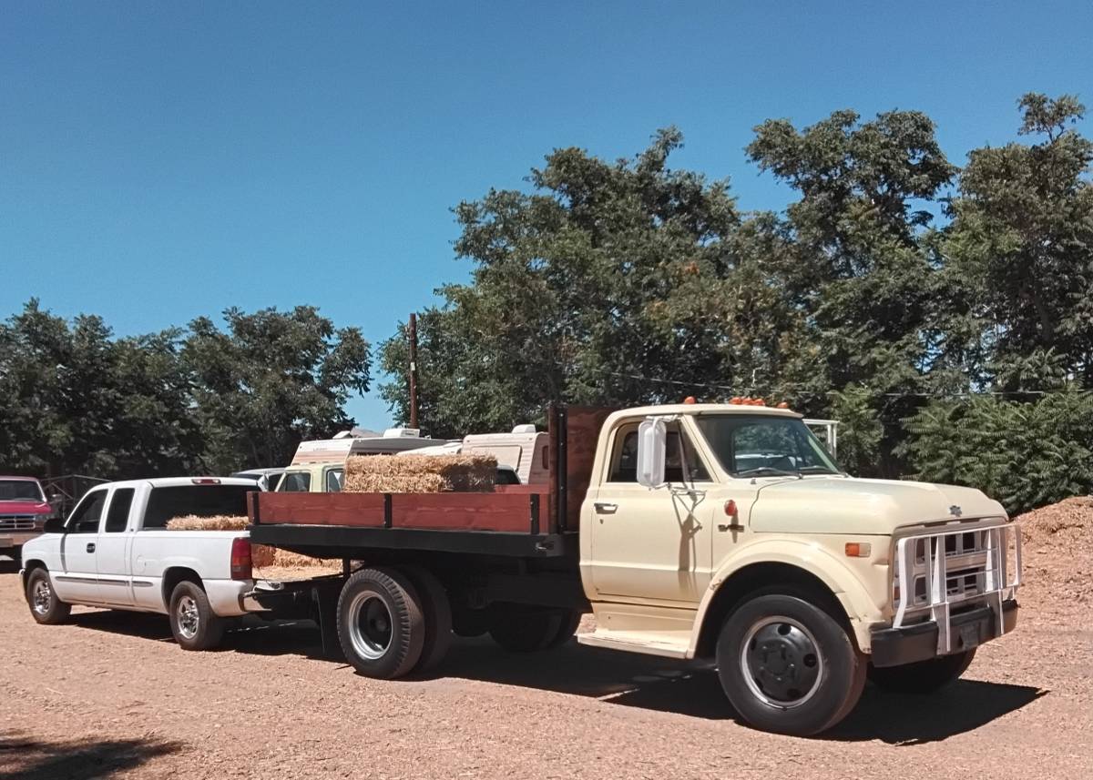 Cherolet-c-50-1971-yellow-8
