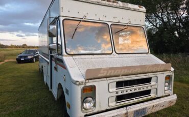 Chev-c30-panel-truck-1988-white-3