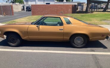 Chevelle-malibu-classic-1974-brown