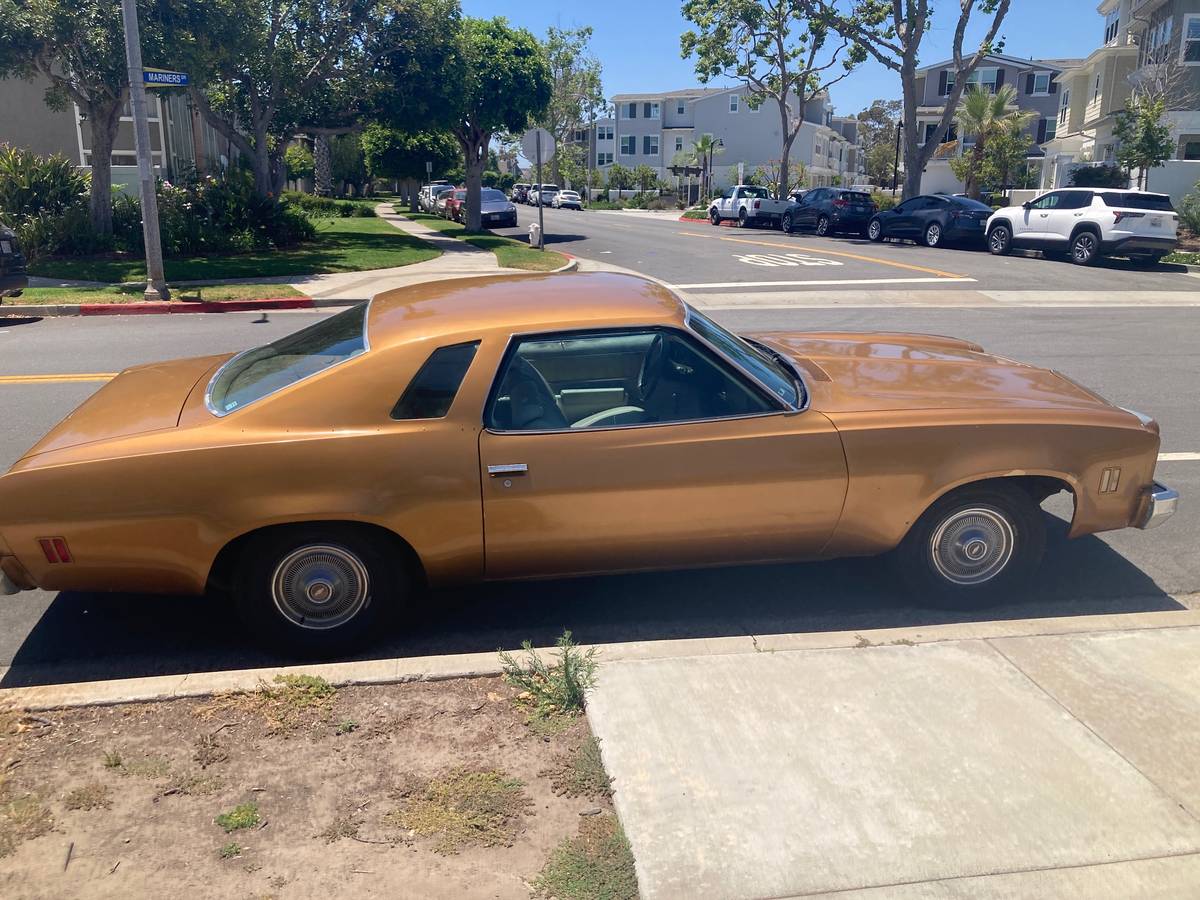 Chevelle-malibu-classic-1974-brown-5