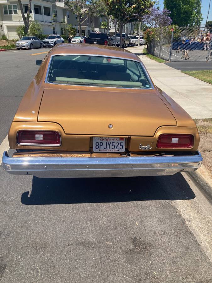 Chevelle-malibu-classic-1974-brown-6