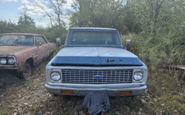 Chevrolet-12-Ton-Pickup-1972-Cab-Chassis-4