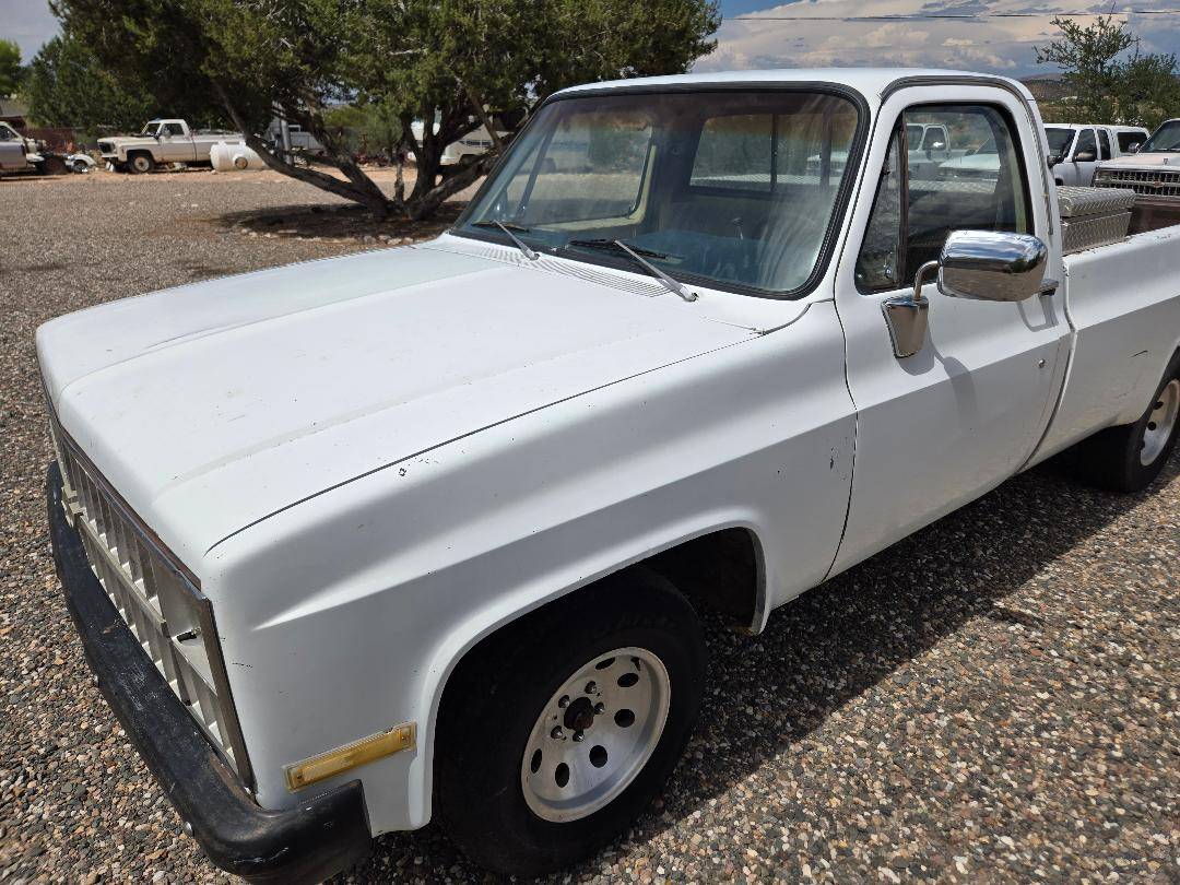 Chevrolet-1500-1981-2
