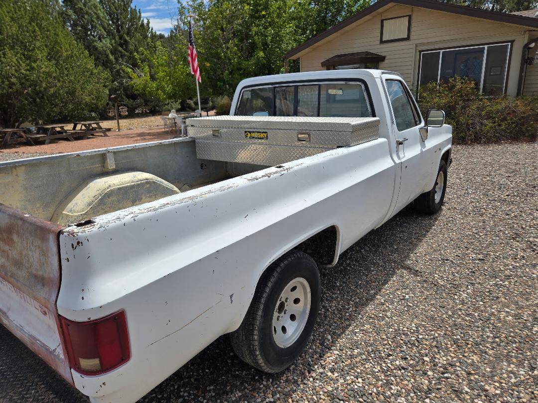 Chevrolet-1500-1981-3
