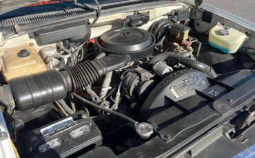 Chevrolet-1500-1988-12