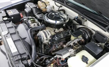 Chevrolet-1500-1995-White-Blue-10