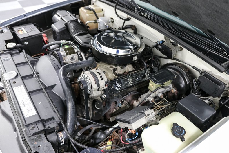 Chevrolet-1500-1995-White-Blue-10
