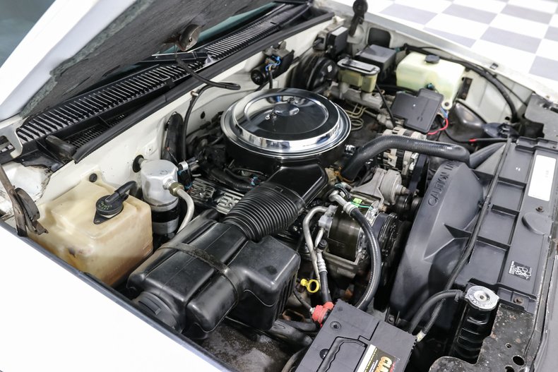 Chevrolet-1500-1995-White-Blue-8