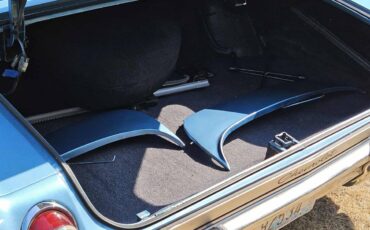 Chevrolet-1965-blue-36