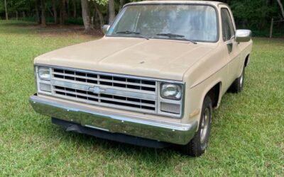 Chevrolet 1987