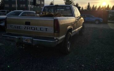 Chevrolet-2500-1990-brown-2