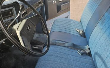 Chevrolet-2500-scottsdale-1984-9