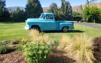 Chevrolet 3100 1955 Pickup