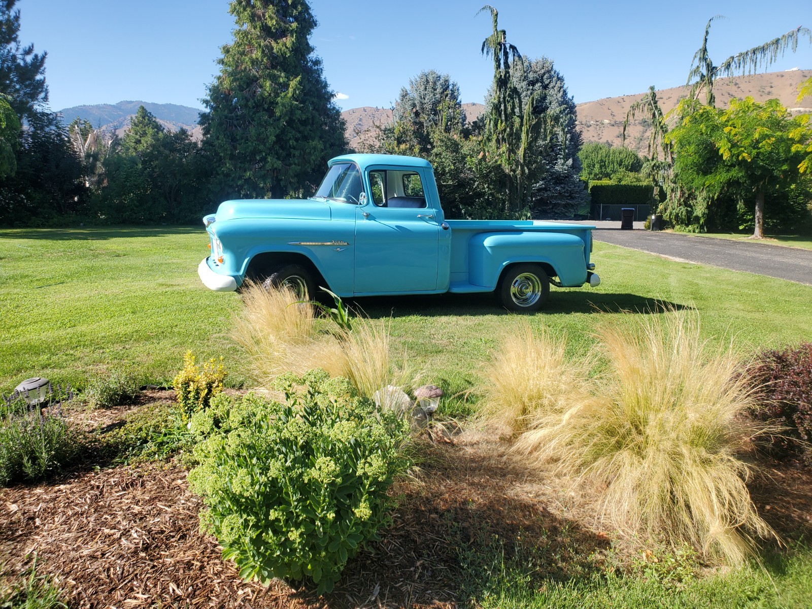 Chevrolet-3100-1955-Pickup