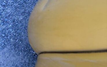 Chevrolet-3100-1955-Yellow-14