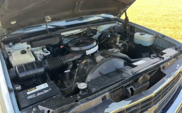 Chevrolet-34-ton-pickups-1989-blue-23