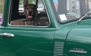 Chevrolet-3600-1952-Green-Tan-10