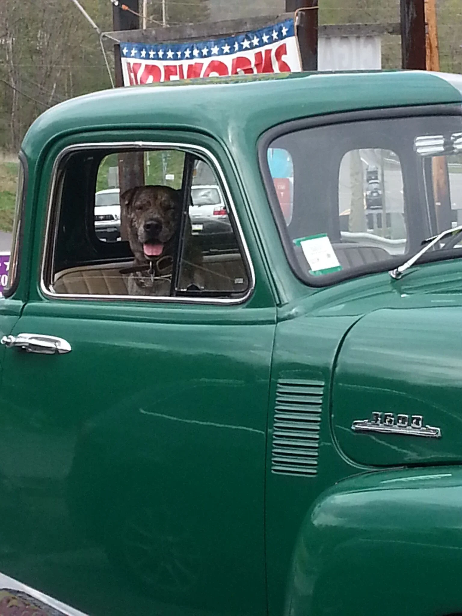 Chevrolet-3600-1952-Green-Tan-10
