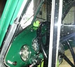 Chevrolet-3600-1952-Green-Tan-4