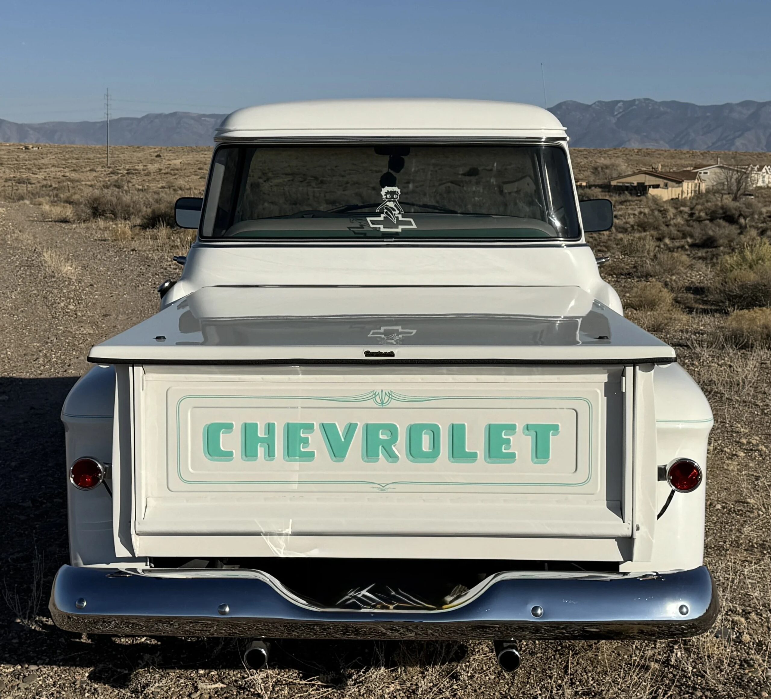Chevrolet-Apache-1958-White-White-3