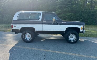 Chevrolet-Blazer-1979-10
