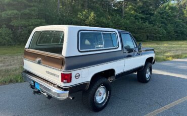 Chevrolet-Blazer-1979-12