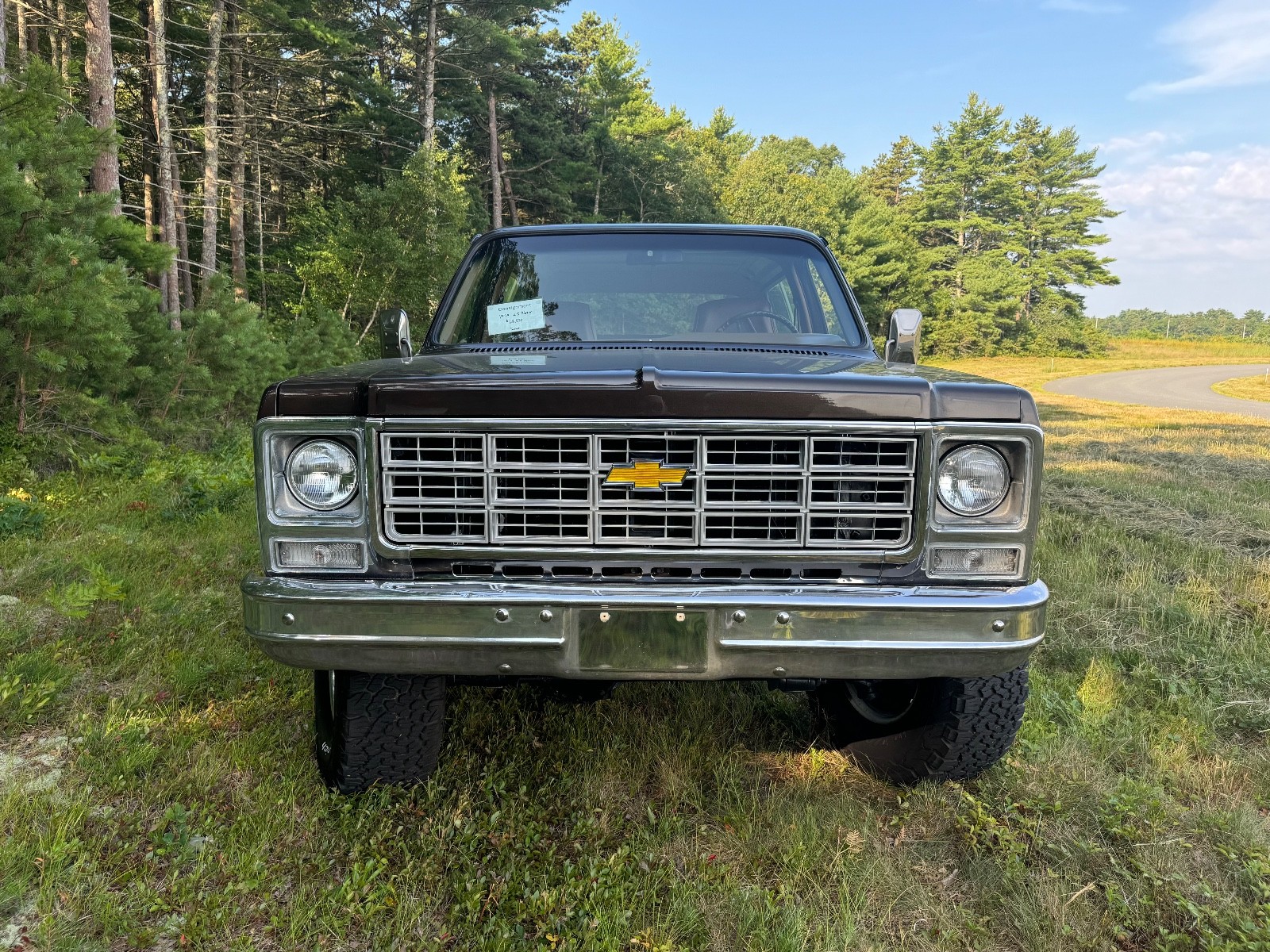 Chevrolet-Blazer-1979-15