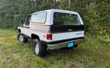 Chevrolet-Blazer-1979-17