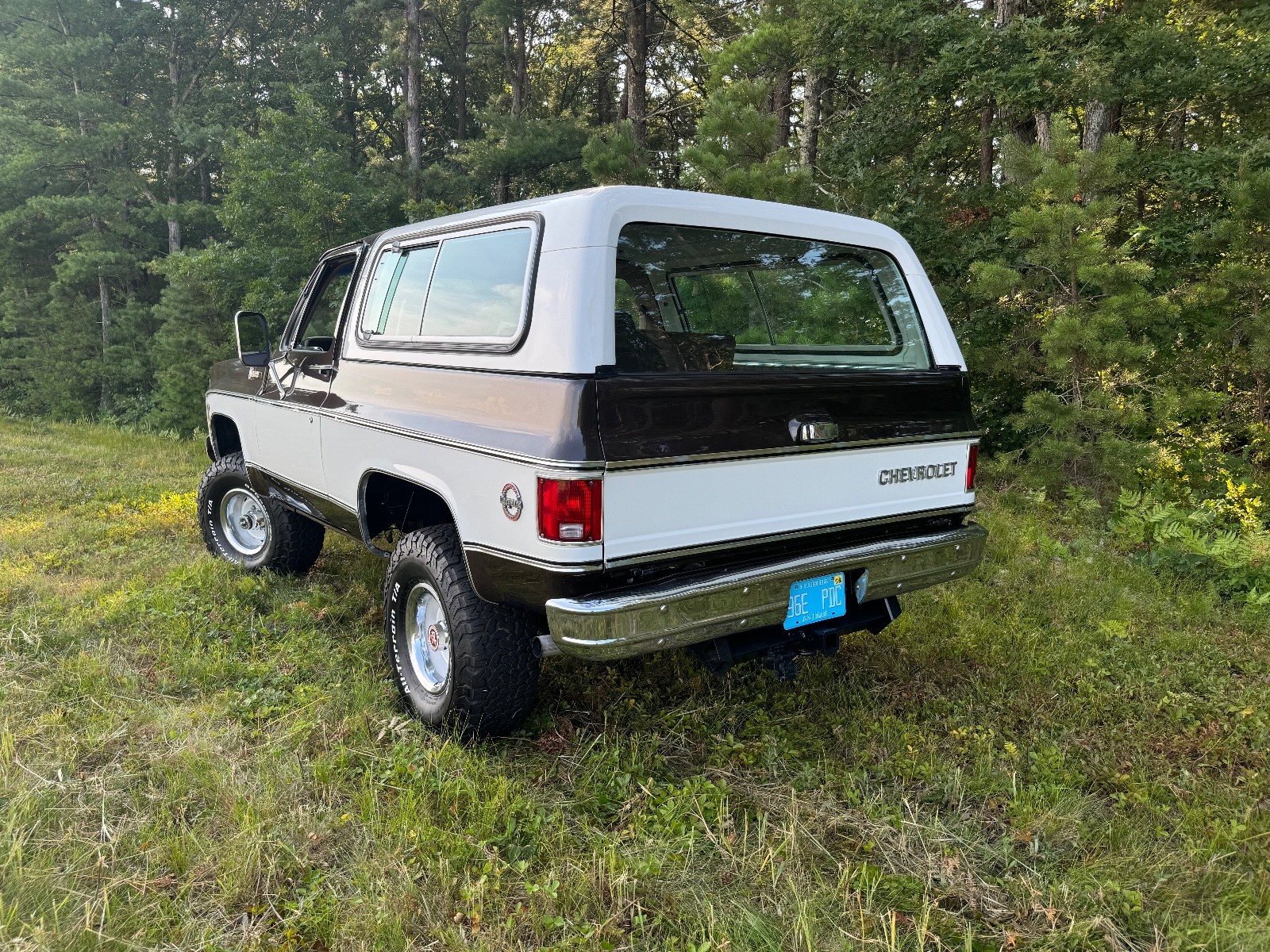 Chevrolet-Blazer-1979-17