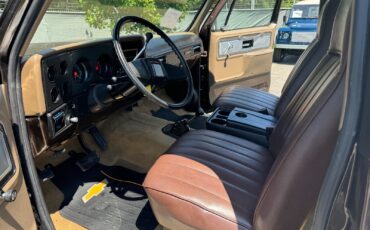 Chevrolet-Blazer-1979-18