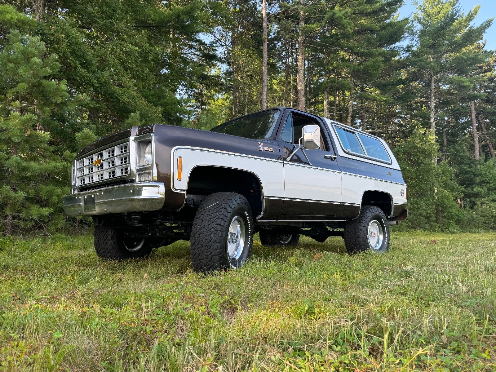Chevrolet-Blazer-1979-2