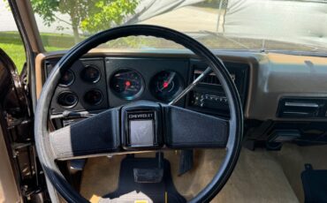 Chevrolet-Blazer-1979-21