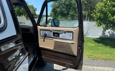 Chevrolet-Blazer-1979-28
