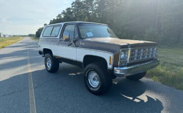 Chevrolet-Blazer-1979-3