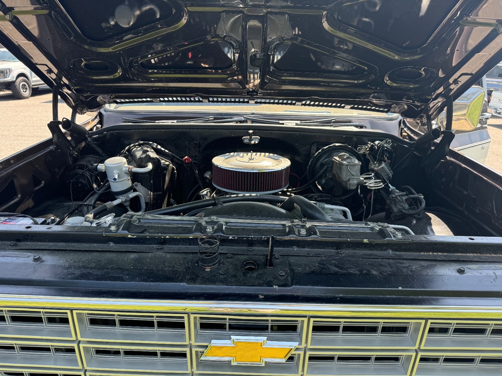 Chevrolet-Blazer-1979-30