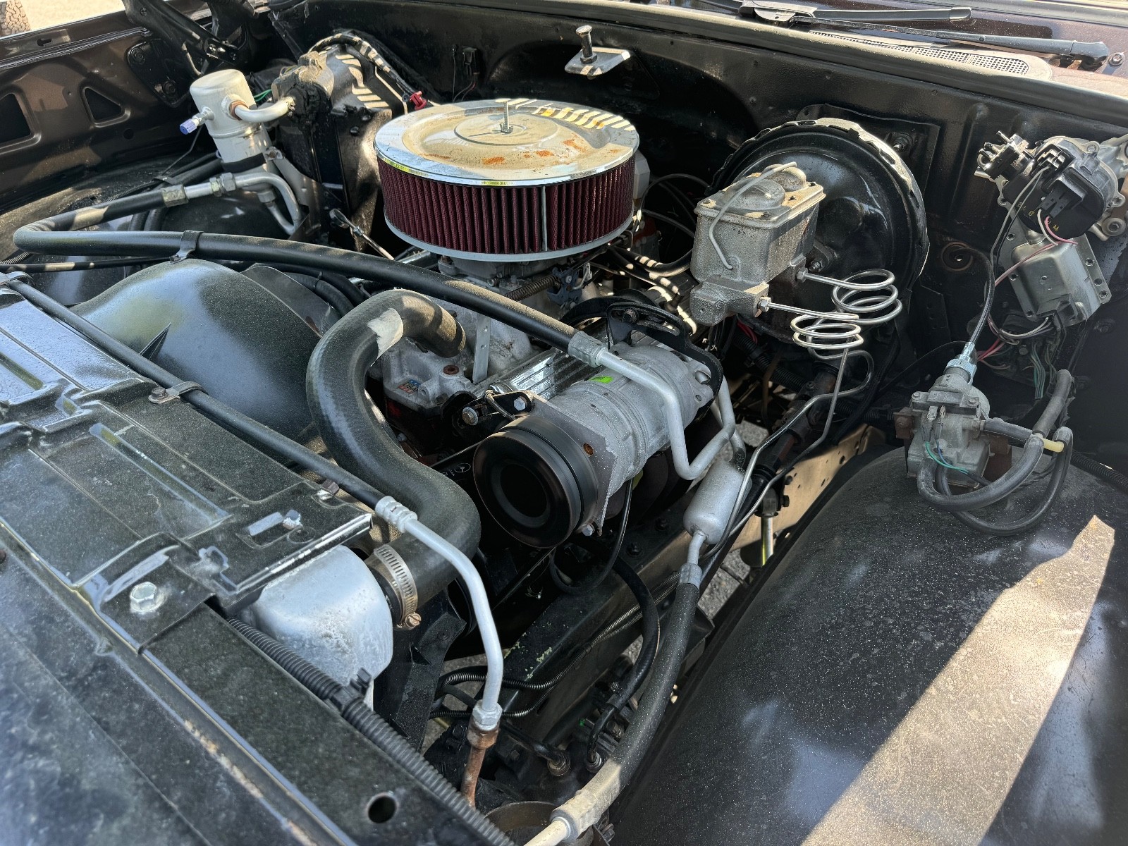 Chevrolet-Blazer-1979-31