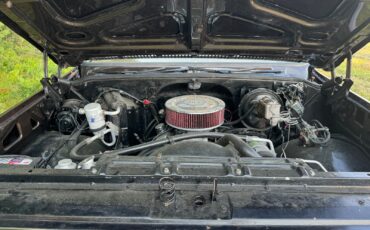 Chevrolet-Blazer-1979-33
