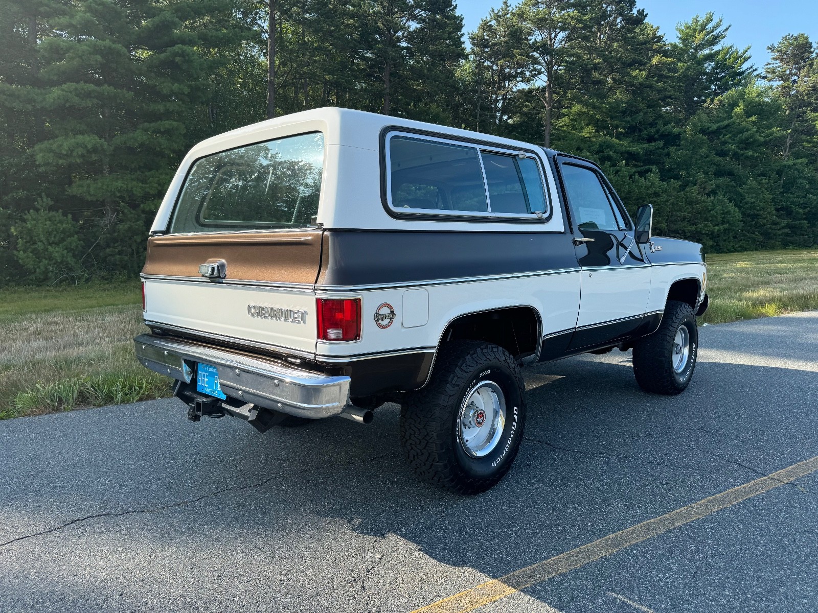Chevrolet-Blazer-1979-8