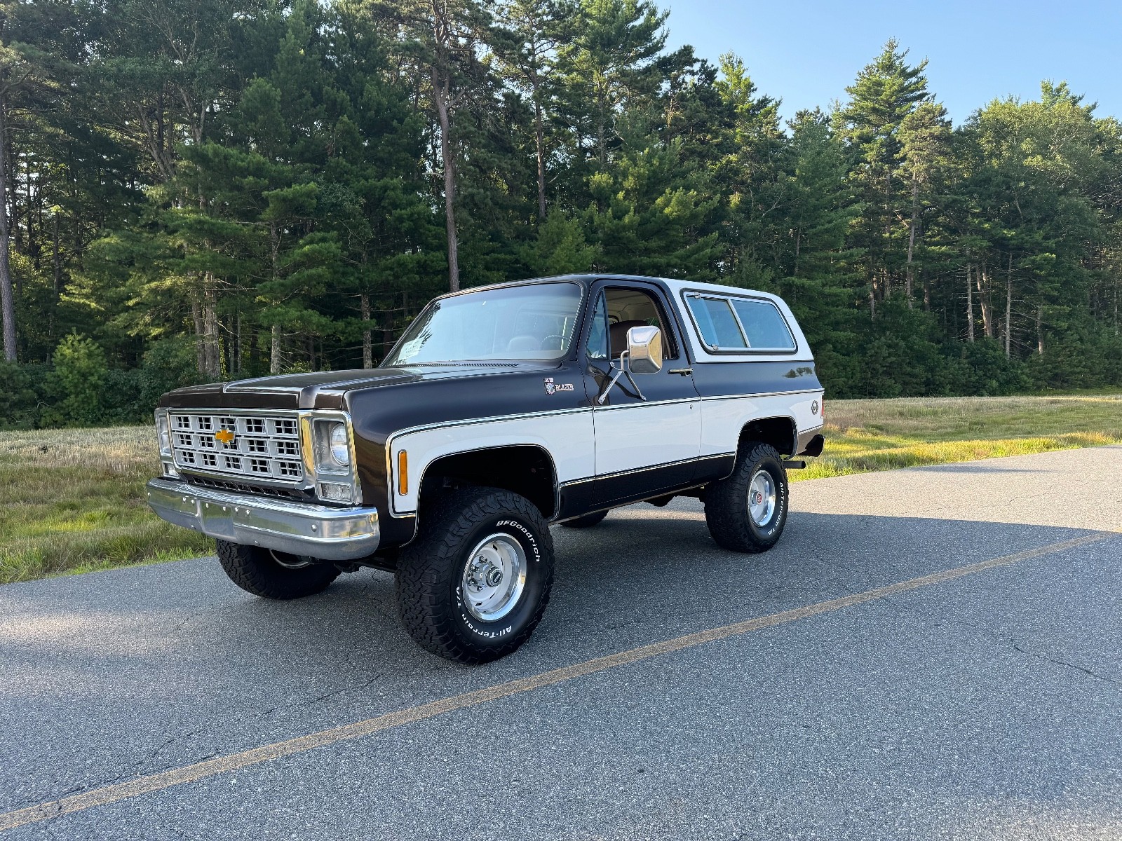 Chevrolet-Blazer-1979-9
