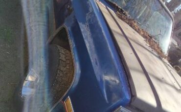 Chevrolet-Blazer-1987-Blue-1