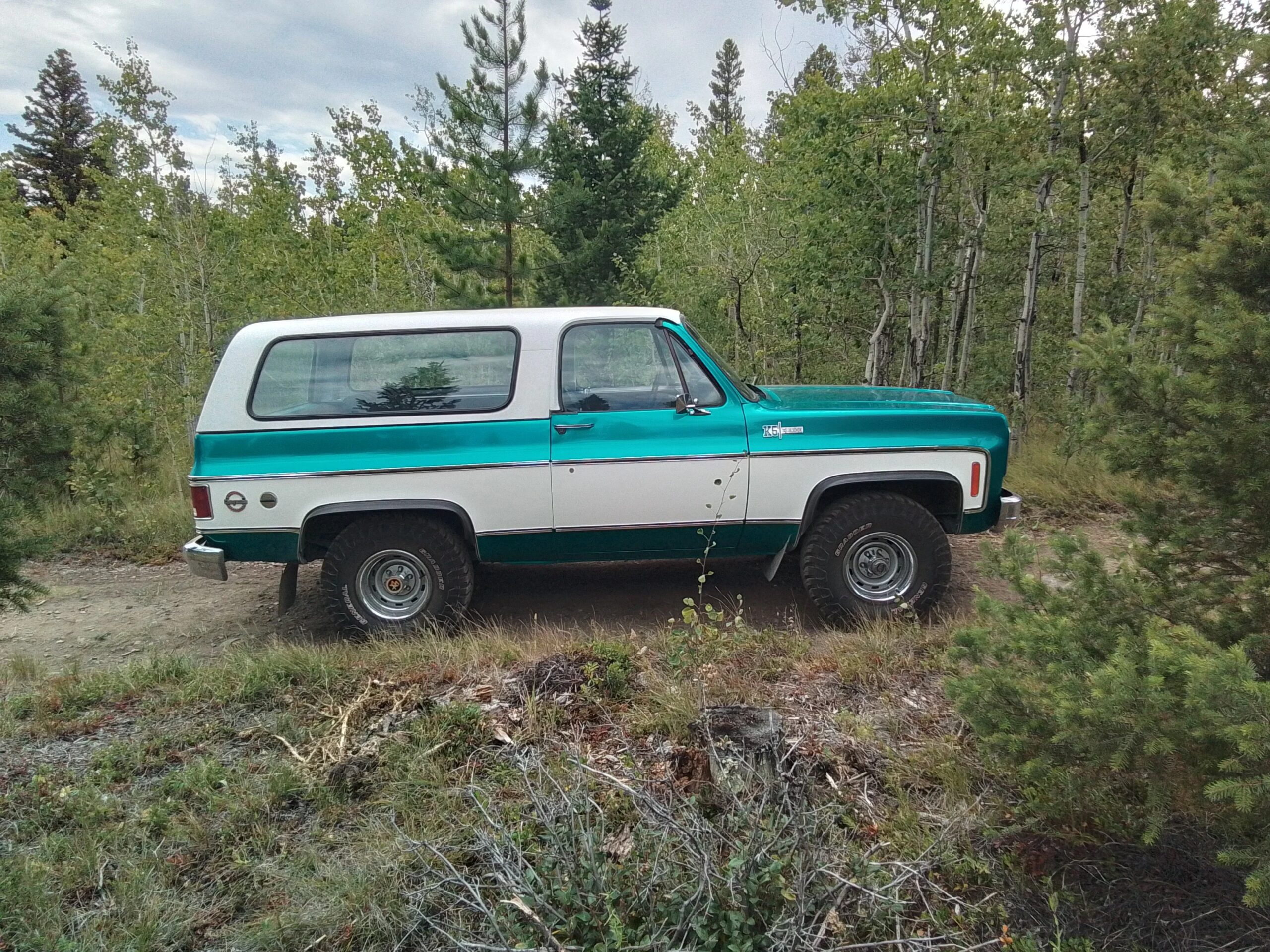Chevrolet-Blazer-4wd-2-door-1973-Black-2