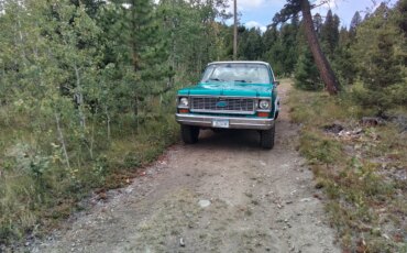 Chevrolet-Blazer-4wd-2-door-1973-Black