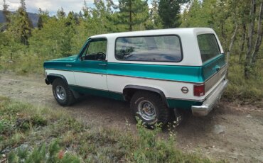 Chevrolet-Blazer-4wd-2-door-1973-Black-6