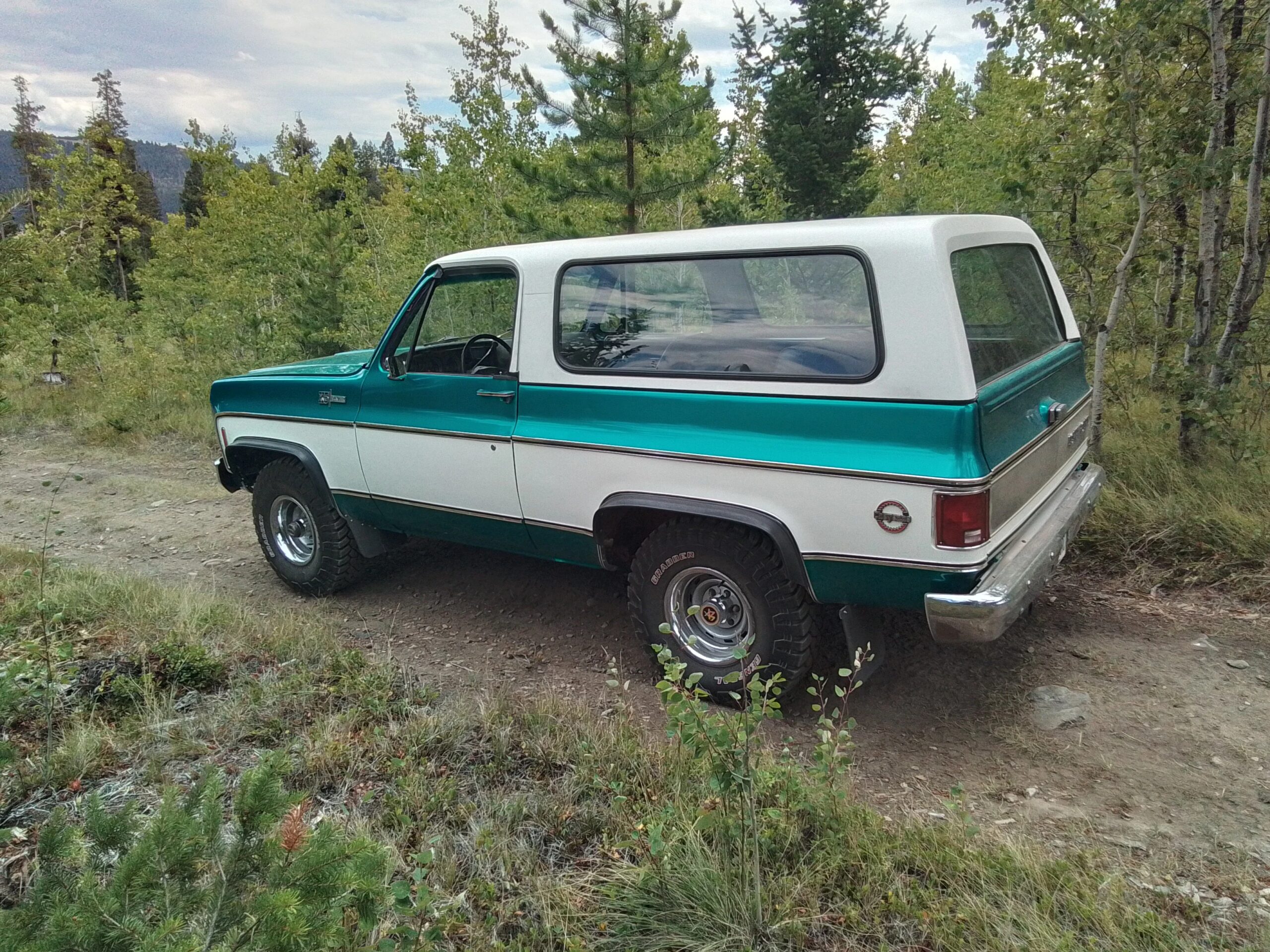 Chevrolet-Blazer-4wd-2-door-1973-Black-6