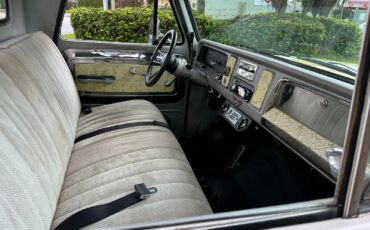 Chevrolet-C-10-1965-21