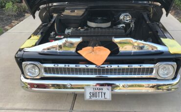 Chevrolet-C-10-1965-Standard-Cab-Pickup-14